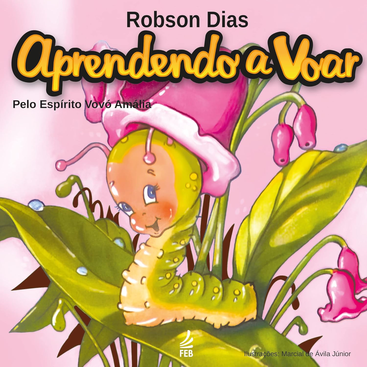 Aprendendo A Voar