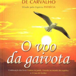 O Voo Da Gaivota