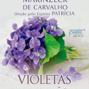 Violetas de Patrícia