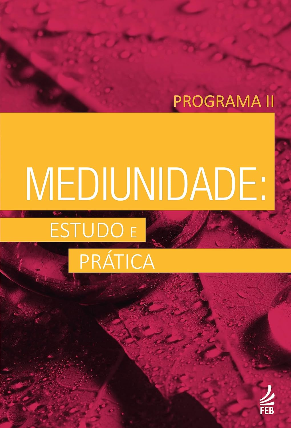 Mediunidade: Estudo e Prática - Programa II